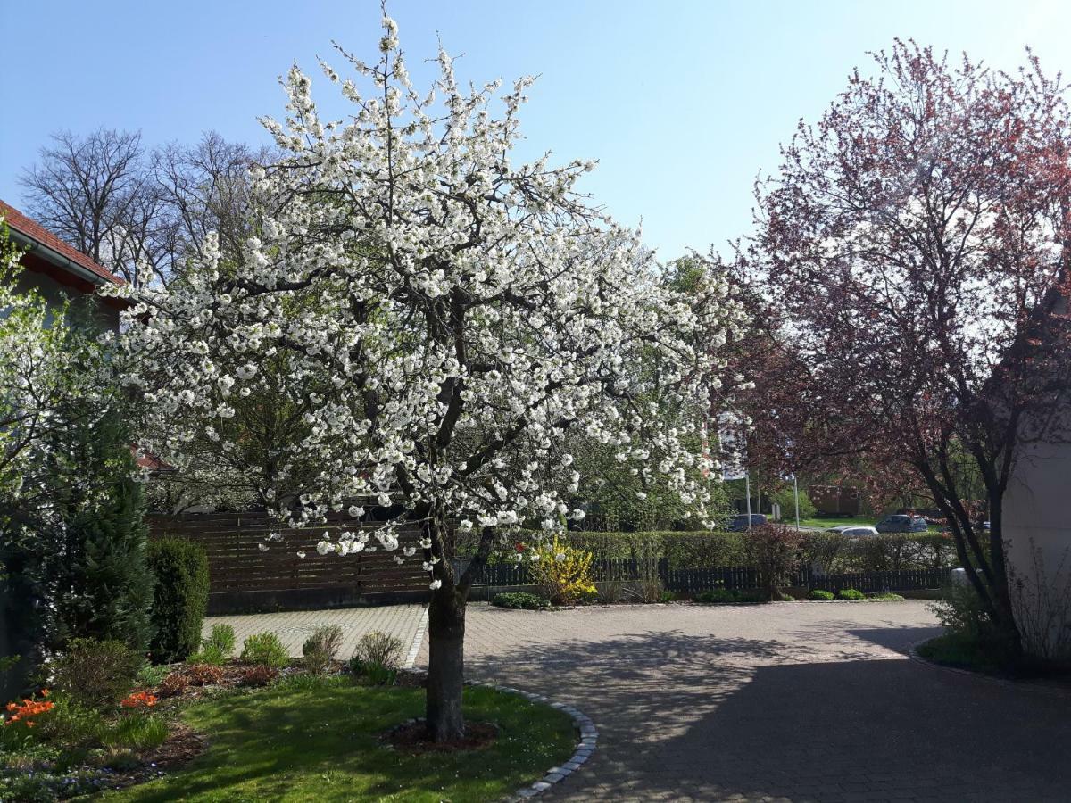 Apartament Der Kirschbaumhof Strullendorf Zewnętrze zdjęcie